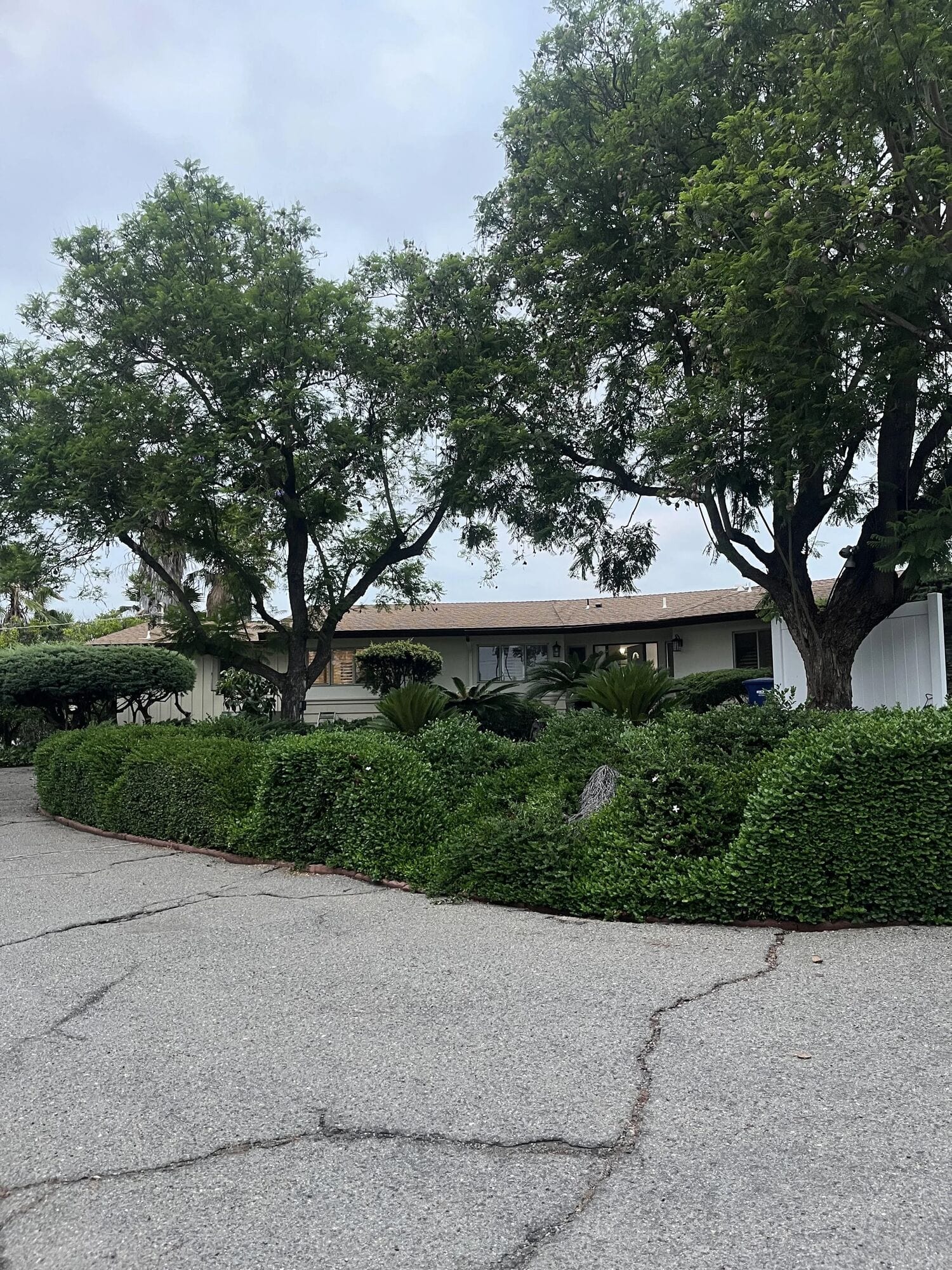 The Clubhouse from the driveway: a single-story ranch home in Escondido behind trimmed hedges and large oak trees