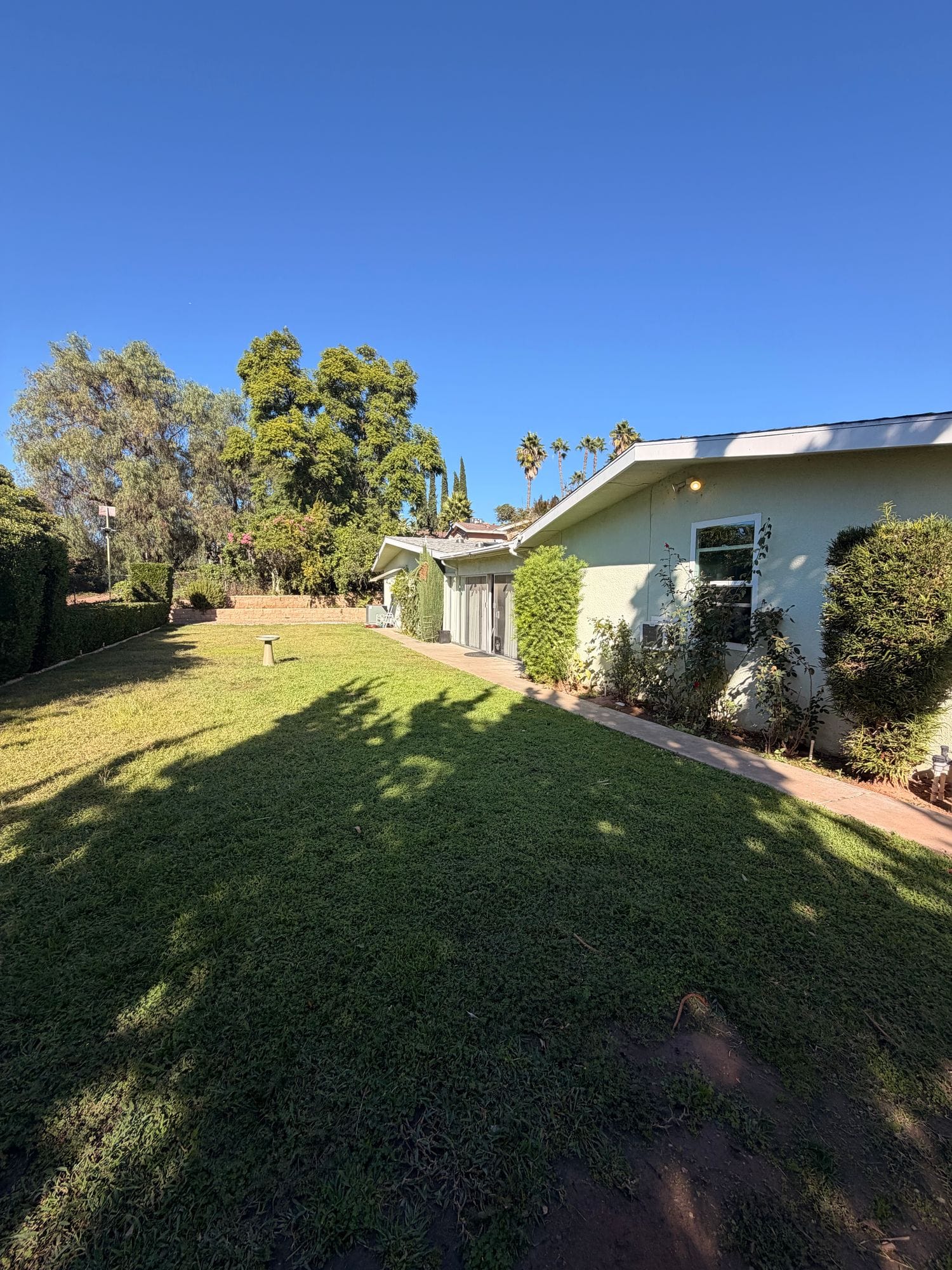 Ranchhouse side yard: a wide lawn running past the single-story house, with tall trees and palms beyond